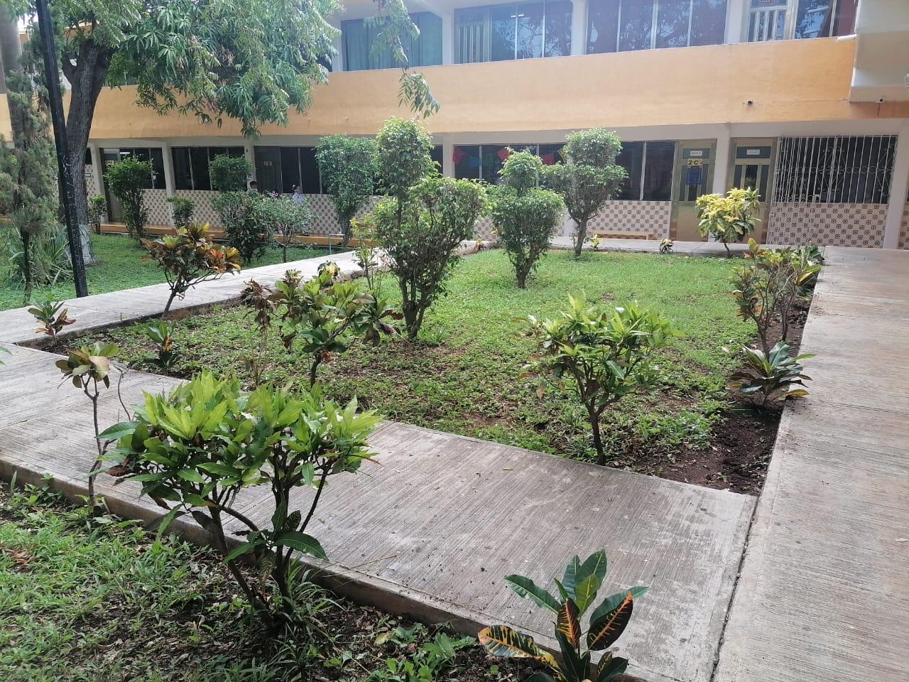 Edificios Confortables